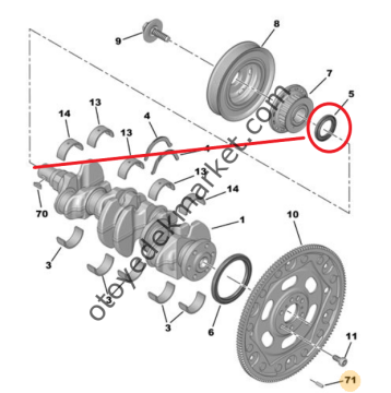 Citroen C4 (2021-2023) 1.5 BlueHdi Ön Krank Keçesi (Orijinal)