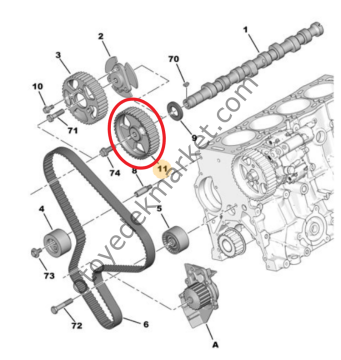 Peugeot 307 (2001-2008) 2.0 Hdi Eksantrik Dişlisi (42 Diş) (Orijinal)