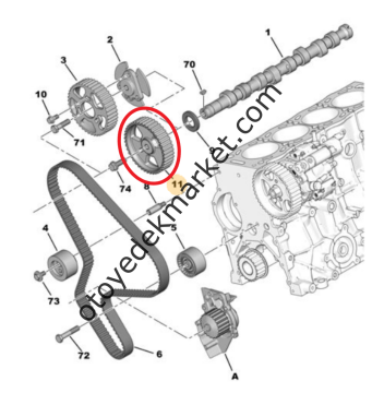 Citroen C5 (2001-2013) 2.0 Hdi Eksantrik Dişlisi (42 Diş) (Orijinal)