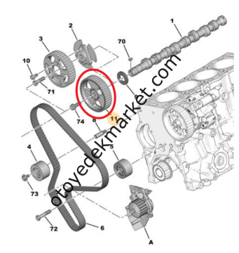 Citroen Xsara (2000-2004) 2.0 Hdi Eksantrik Dişlisi (42 Diş) (Orijinal)