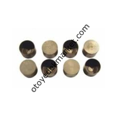 Citroen Berlingo (2002-2008) 1,9 DW8 Subap Fincanı (İthal)