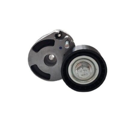 Peugeot Bipper 1.4 Hdi (2008-2013) Alternatör Gergi Rulmanı - Kütüklü (BSG)