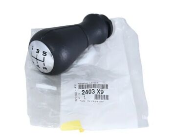 Citroen Saxo Mat Tip Vites Topuzu (Orijinal)