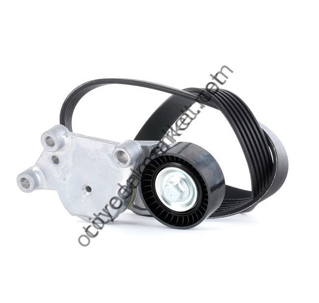PEUGEOT 301 (2012-2016) 1,6 HDI ALTERNATÖR RULMAN SETİ (DAYCO)