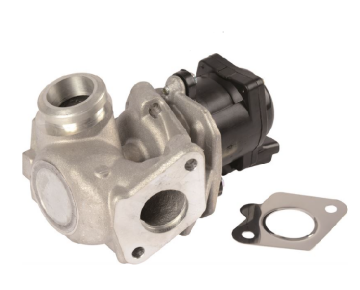 Citroen Berlingo (2008-2011) 1.6 Hdi Egr Vanası (İthal)