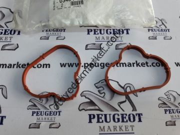 PEUGEOT 406 2,0 BENZ. EMME MANİFOLD CONTASI