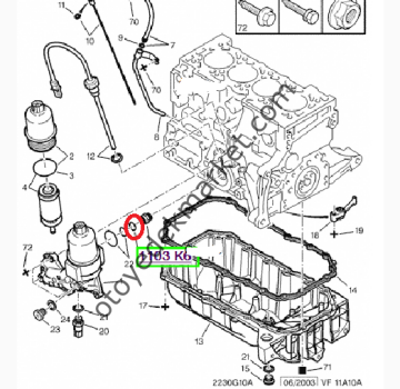 Peugeot 307 (2001-2008) 1.6 Benzinli Yağ Soğutucu Contası (Orijinal)