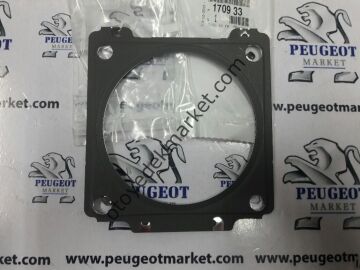 PEUGEOT 206 1,4 BENZİNLİ KATALİZÖR ÜST CONTA (ORJİNAL)