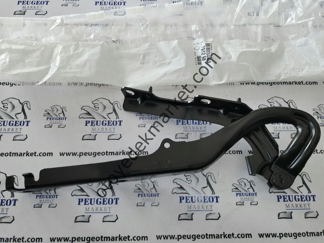 PEUGEOT 207 SAĞ MOTOR KAPUT MENTEŞESİ (ORJİNAL)