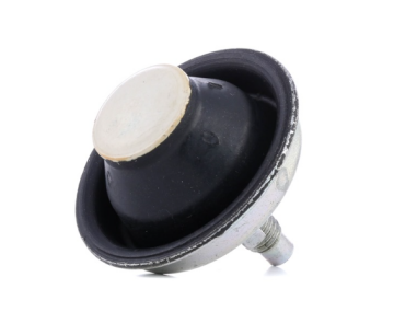 Peugeot 206 1.4-1.6 Sağ Üst Yardımcı Kulak Düz (Rapro)