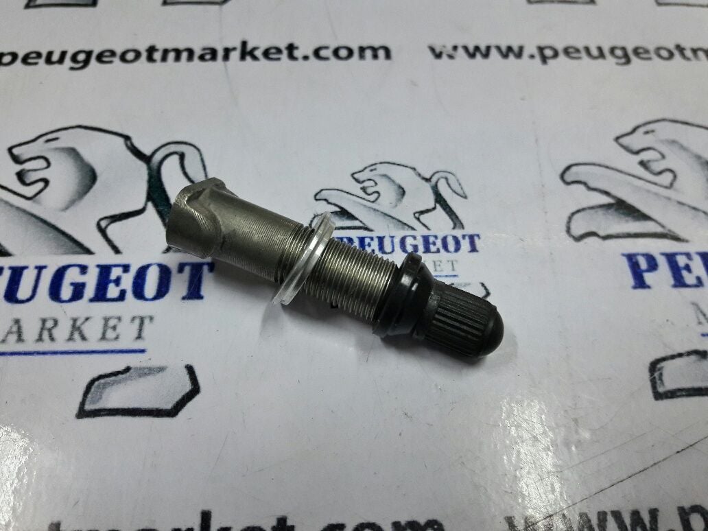 Peugeot 308 (2007-2013) LASTİK BASINÇ SENSÖR UCU