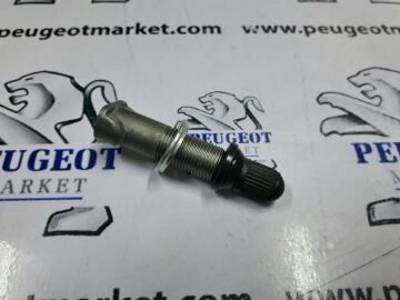Peugeot 308 (2007-2013) LASTİK BASINÇ SENSÖR UCU