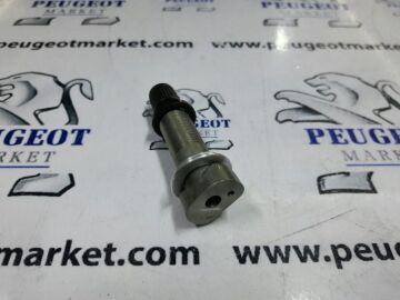 Peugeot 308 (2007-2013) LASTİK BASINÇ SENSÖR UCU