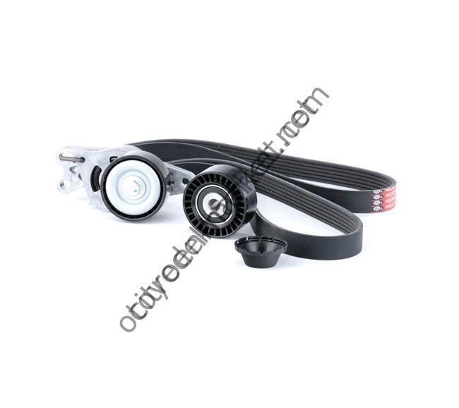 Peugeot 206 1,4 Benzinli (1998-2011) Alternatör Kayış ve Gergi Seti (Aba)