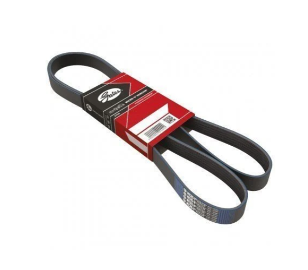 CİTROEN BERLİNGO (2003-2008) 1,6 HDI ALTERNATÖR KAYIŞI (GATES)