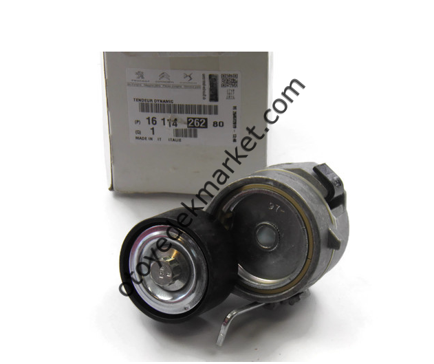 Citroen C3 (2017-2024) 1.2 Benzinli Alternatör Gergili Rulmanı (Orijinal)