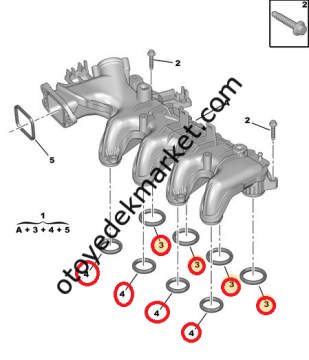 Citroen C4 (2004-2011) 1,6 Hdi Emme Manifold Contası Takımı (İthal)