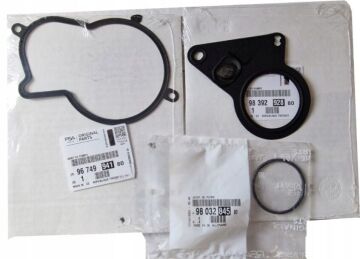 Citroen Jumper (2015-2023) 2.0 Hdi Yüksek Basınç Mazot  / Yakıt Pompa Conta Seti (Orijinal)