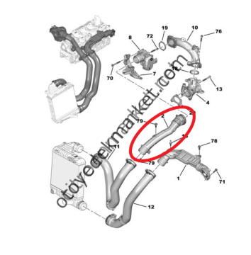 Citroen Jumpy (2020-2022) 1.5 Blue Hdi Turbo Hava Hortumu (İthal)