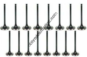 Citroen C4 (2001-2009) 1,6 Benzinli Subap Takımı (Supsan)