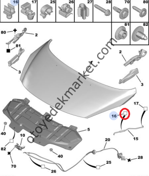 Peugeot 308 (2008-2013) Kaput Demir Tutucu (Orijinal)