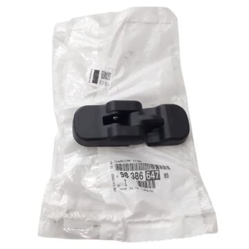 Citroen Ami (2021-2024) Kapı Cam Menteşesi (Orijinal)