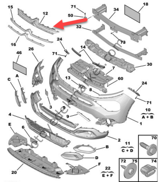 Citroen C4 (2021-2024) Ön Panjur Logo Mesnedi (Orijinal)