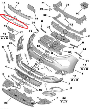 Citroen C4 (2021-2024) Ön Panjur Amblem Nikelaj Çıtası (Orijinal)