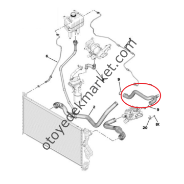 Citroen Jumper (2020-2023) 2.2 Hdi Motor Su Soğutma / Radyatör Hortumu Çıkış Hortumu (Orijinal)