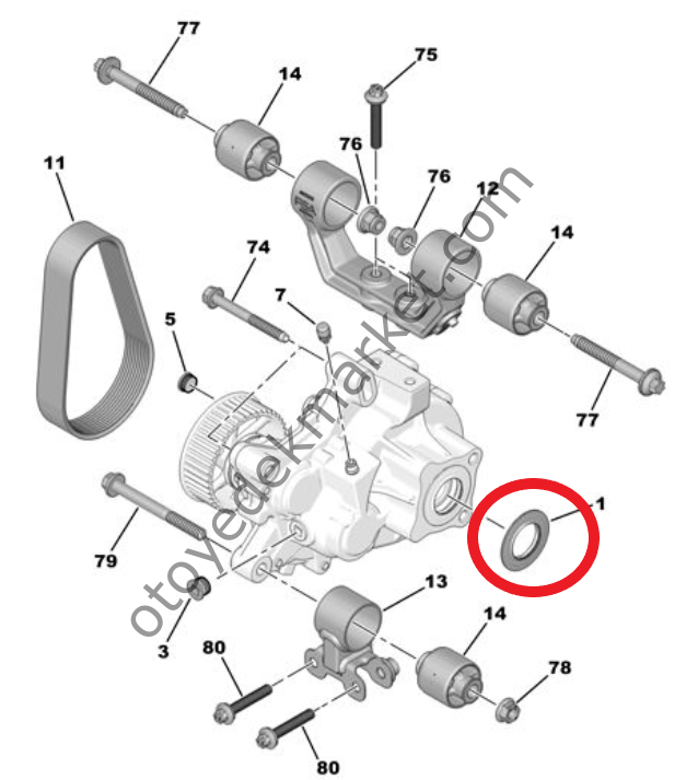 Citroen Ami (2021-2024) Şanzıman Redüktör Contası (Orijinal)
