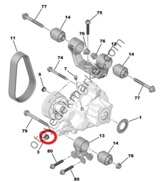 Citroen Ami (2021-2024) Şanzıman Redüktör Yağı Doldurma Tapası (Orijinal)