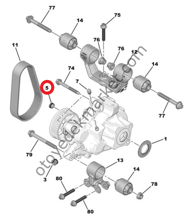 Citroen Ami (2021-2024) Şanzıman Redüktör Yağı Boşaltma Tapası (Orijinal)