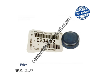 Peugeot 206 1,4 Hdi  Silindir Kapak Su Tapası (Orijinal)