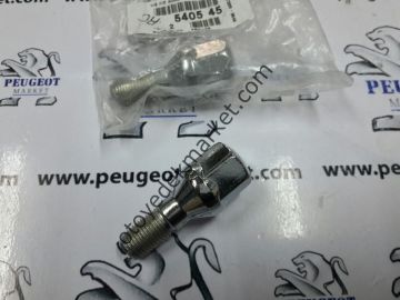 PEUGEOT 406 (1996-2004)  BİJON SOMUNU (ORJİNAL)