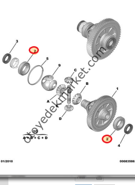 PEUGEOT 407 (2004-2011) DEFRANSİYEL RULMANI (ORJİNAL)