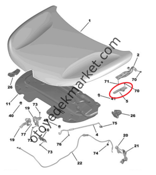 Citroen C4 (2021-2024) Motor Kaputu Sağ Menteşe Mesnedi (Orijinal)