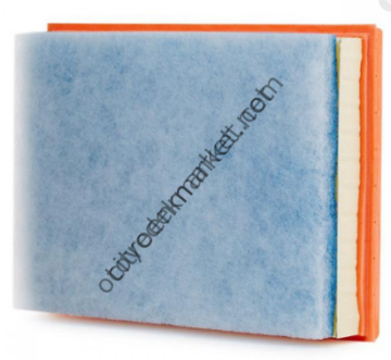 CİTRROEN C-ELYSEE (2018-2020)  1.5HDI EURO6 HAVA FİLTRESİ (ORJINAL)