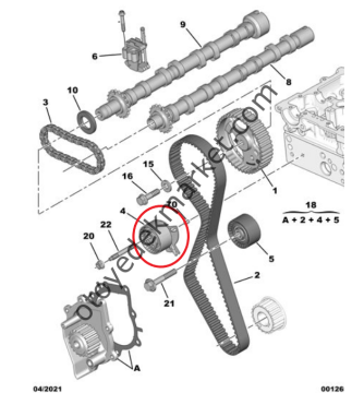 Citroen Jumper (2020-2023) 2.2 Hdi Eksantrik / Triger Zinciri Gergi Rulmanı (Orijinal)
