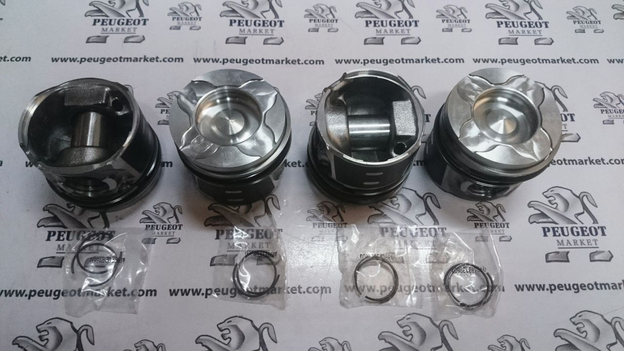 PEUGEOT 308 (2008-2010) 1,6 HDİ PİSTON SEKMAN TAKIMI (MAHLE)