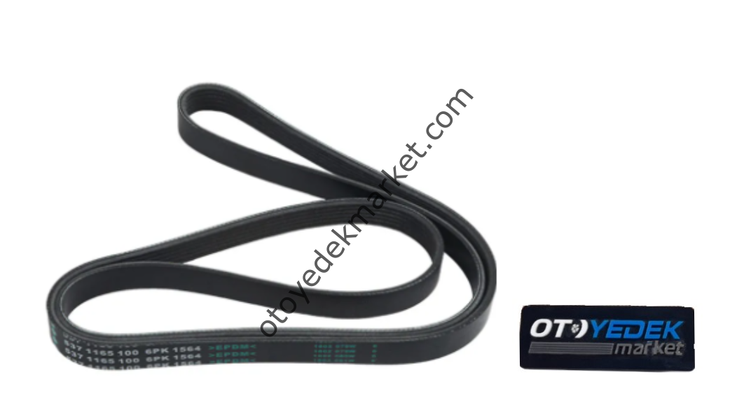 Citroen Xsara (1997-2004) 1.6 Benzinli Alternatör Kayışı (Aba)