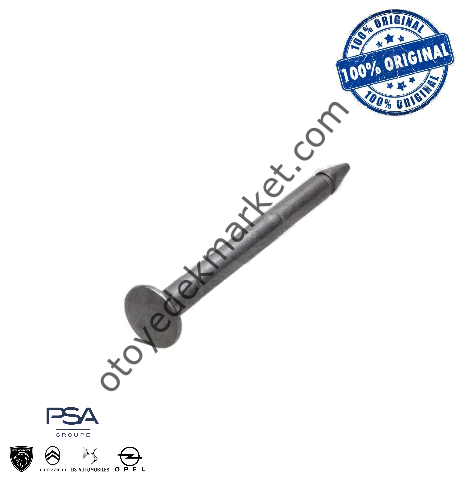 Citroen C-Elysee (2012-2023) Kapı Menteşe Pimi (Orijinal)