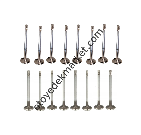 Citroen Berlingo (2019-2025) 1.5 BlueHdi Supap Takımı (Orijinal)