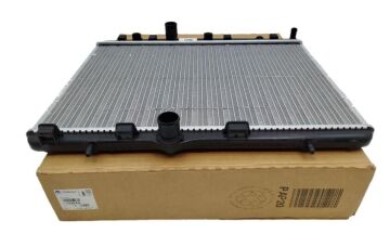 Peugeot 208 (2020-2023) Motor Su Radyatörü (Orjinal)