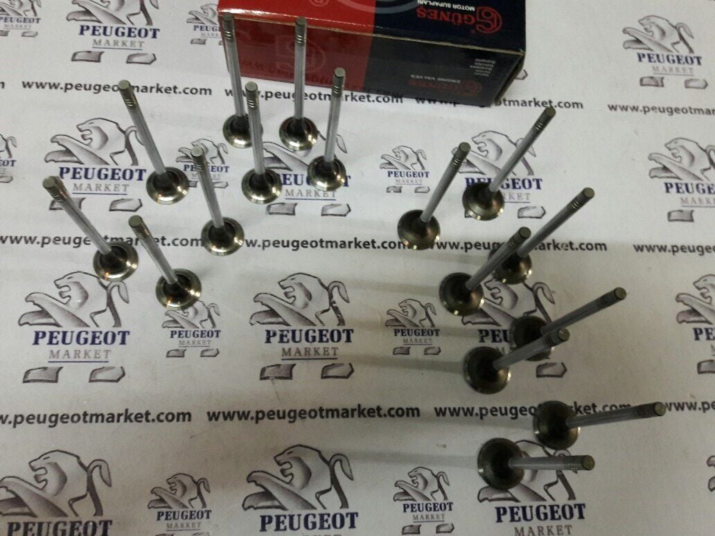 PEUGEOT 508 1,6 BENZİNLİ SUBAP TAKIMI