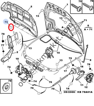 Peugeot 206 Kaput Keçe Klipsi (Orijinal)