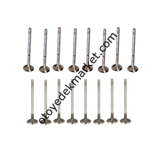 Citroen C-Elysee (2018-2025) 1.5 BlueHdi Supap Takımı (Orijinal)