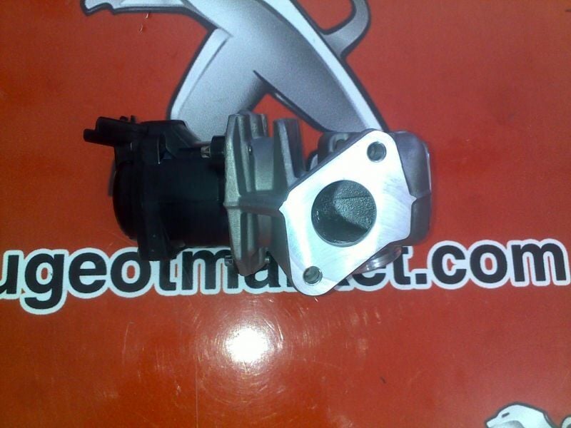 PEUGEOT EXPERT 1,6 HDI EGR VANASI (ORJİNAL)