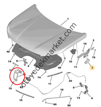 Peugeot 2008 (2020-2023) Motor Kaput Kanca Bağlantısı (Orijinal)