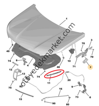 Peugeot 2008 (2020-2023) Motor Kaput Yan Lastiği (Orijinal)