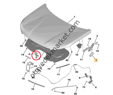 Peugeot 2008 (2020-2023) Motor Kaput Mandalı (Orijinal)